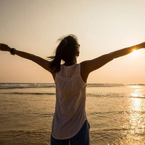 LEY ROSA ELVIRA CELY